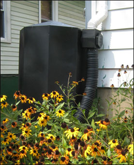 Rain barrel near flower bed connected to downspout