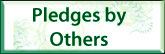 Pledges by Others button