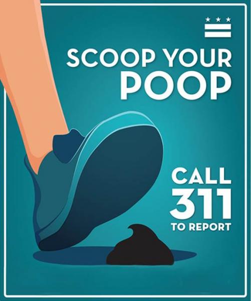 Scool Poop